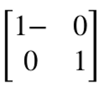 مصفوفة عمودية