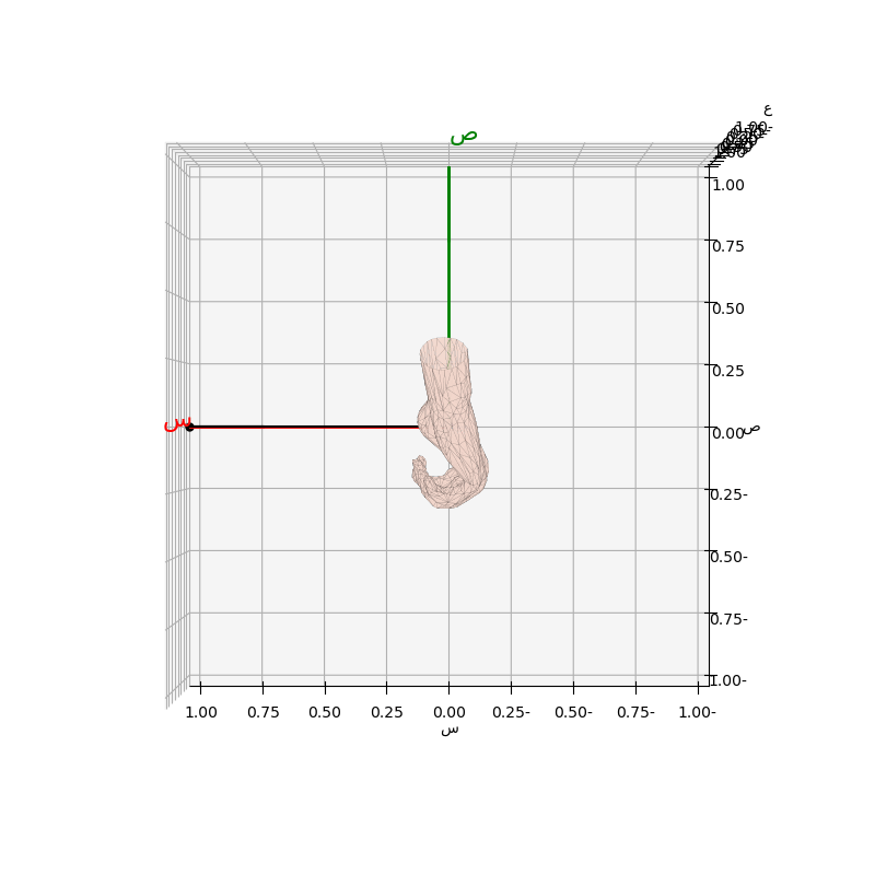 قاعدة اليد اليمنى 2