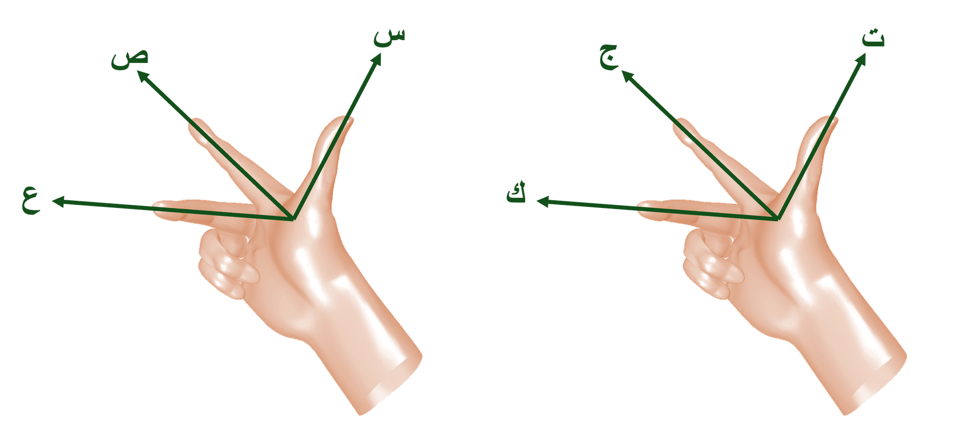 قاعدة اليد اليمنى